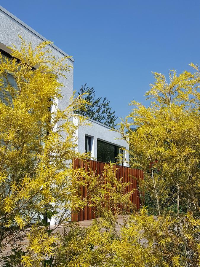 Aroundthetree Hermitage Shitan Exterior photo