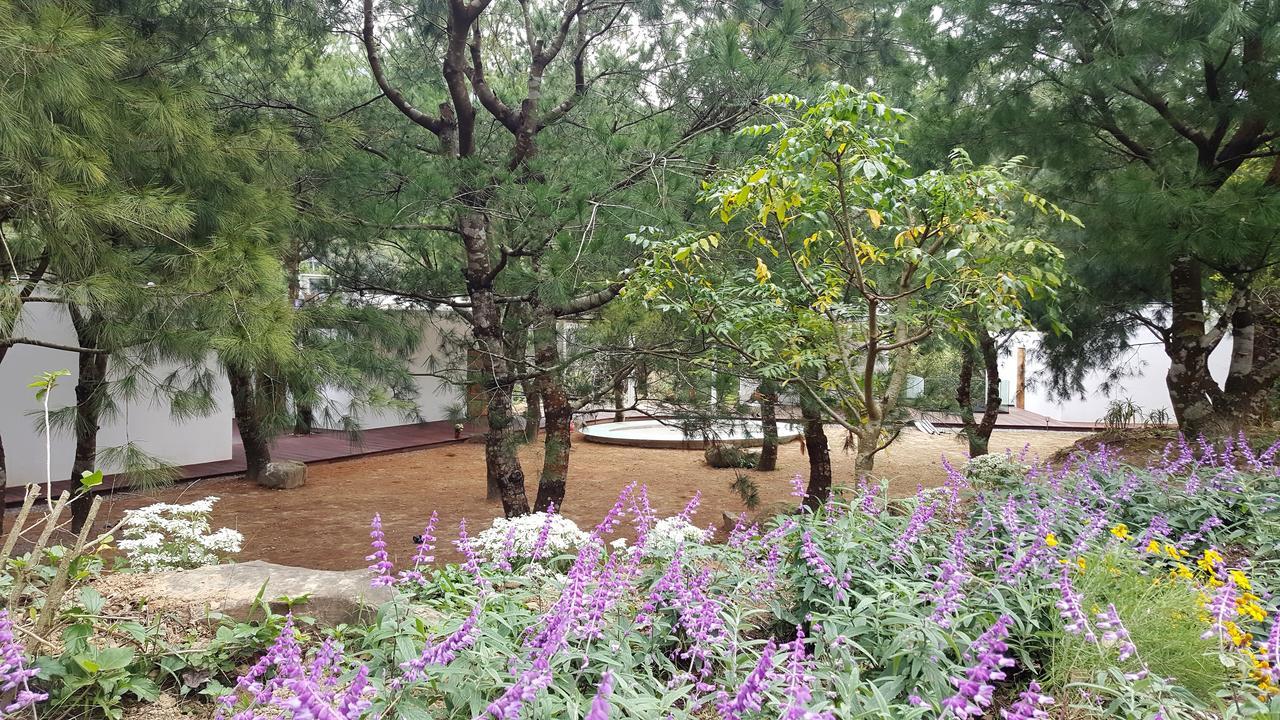 Aroundthetree Hermitage Shitan Exterior photo